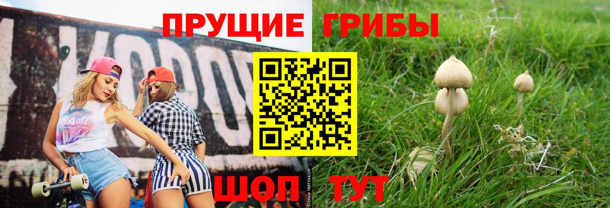 Псилоцибиновые грибы прущие грибы Мелеуз