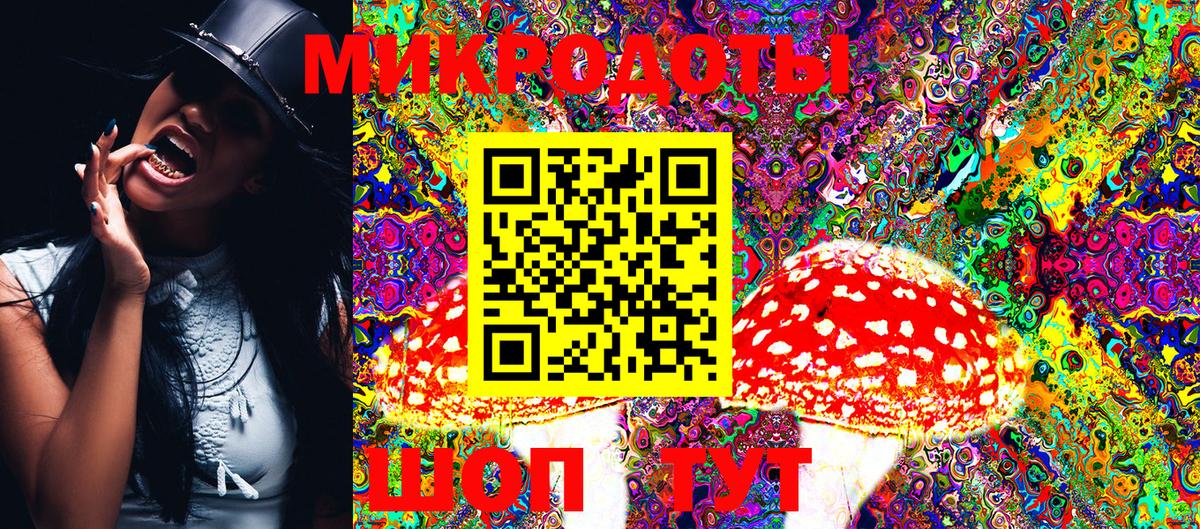 где найти   Псилоцибиновые грибы MAGIC MUSHROOMS  Вход с VPN  Мелеуз 